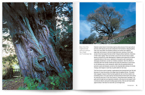 Heritage Trees Wales