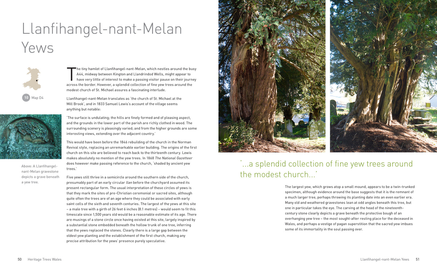 Heritage Trees Wales - Second Edition
