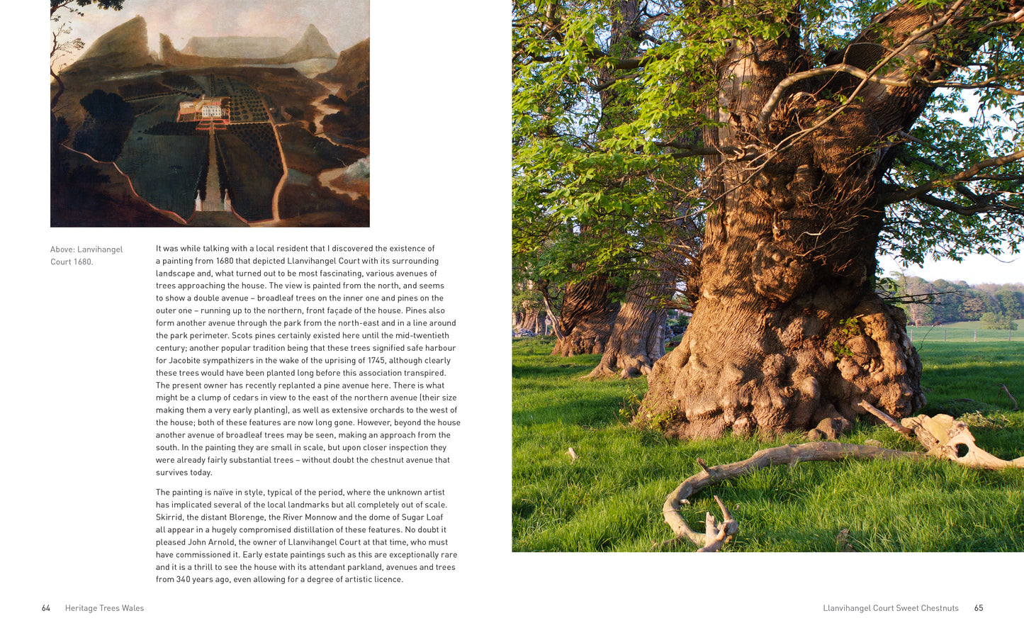 Heritage Trees Wales - Second Edition