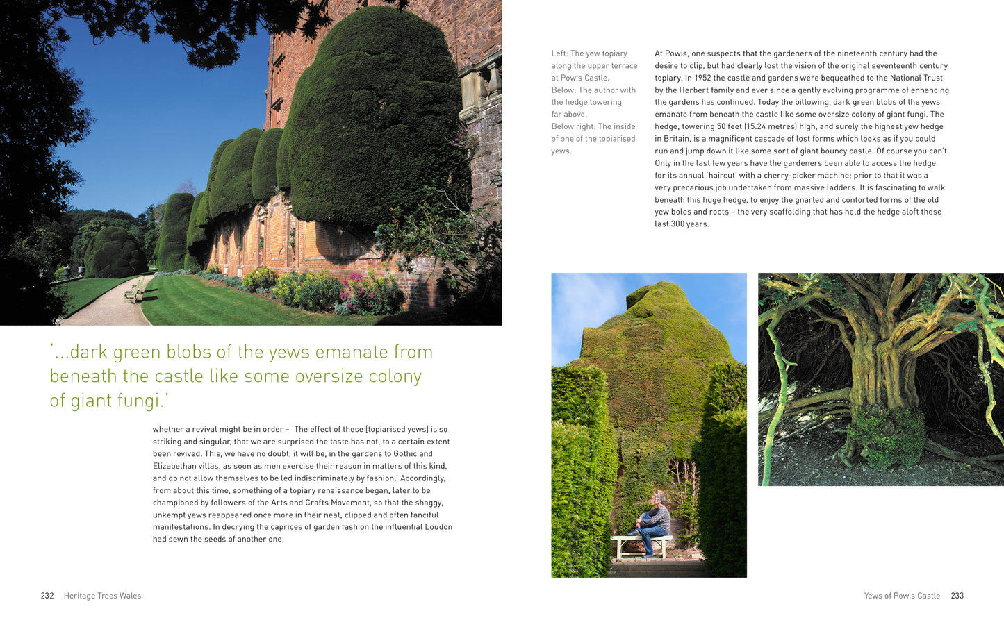 Heritage Trees Wales - Second Edition
