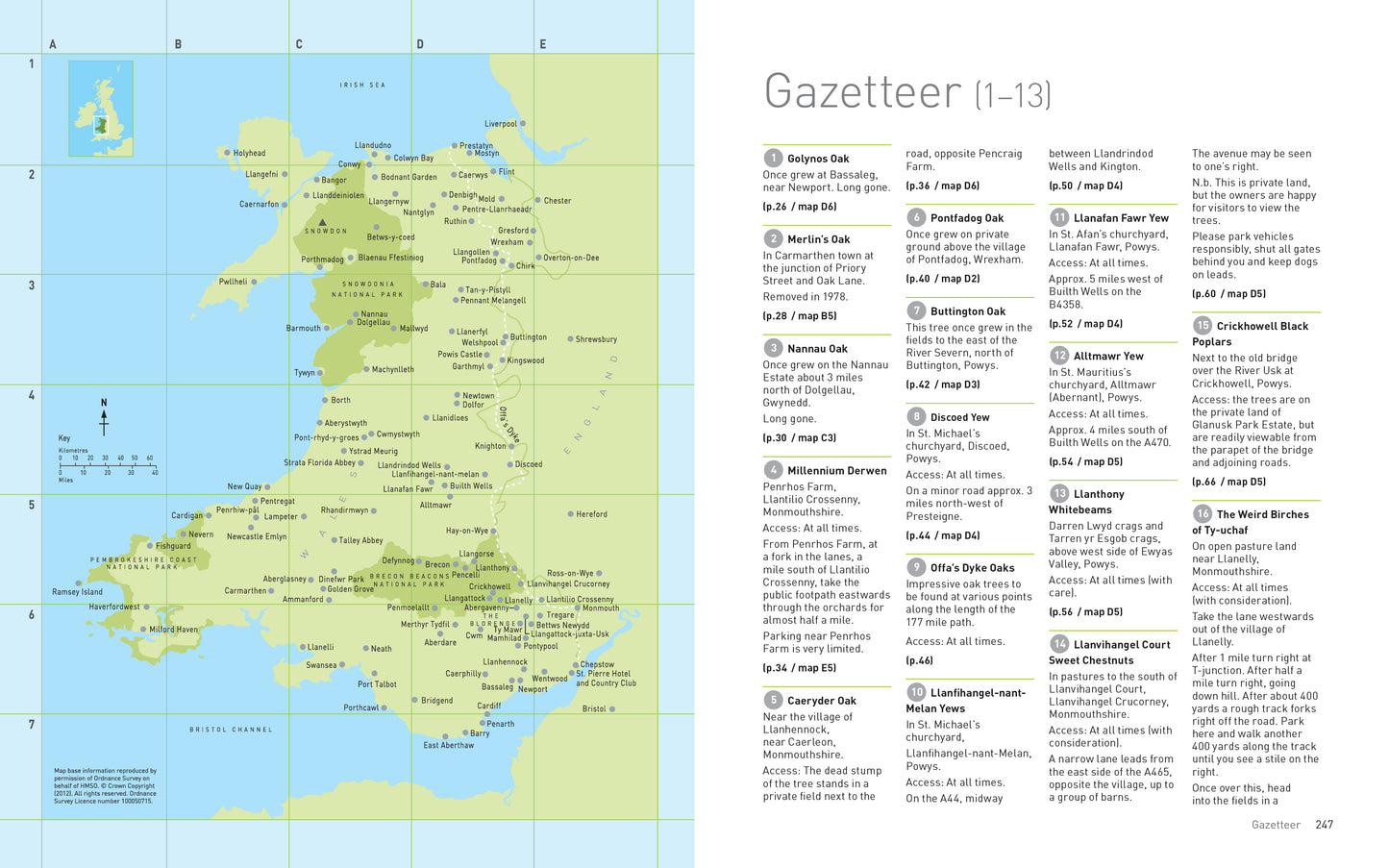Heritage Trees Wales - Second Edition