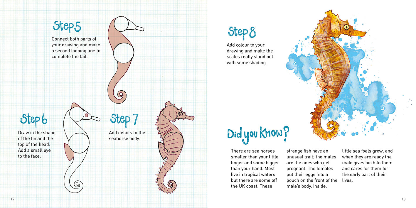 Into the Blue How to Draw, by Nicola Davies, illustrated by Abbie Cameron, published by Graffeg. Seahorse