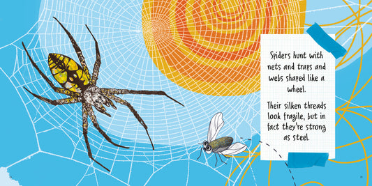 Invertebrates are Cool!