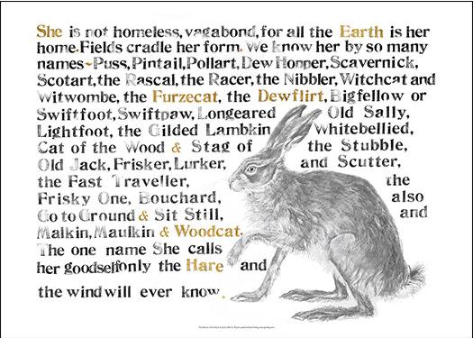 The Names of the Hare Poster Graffeg Books