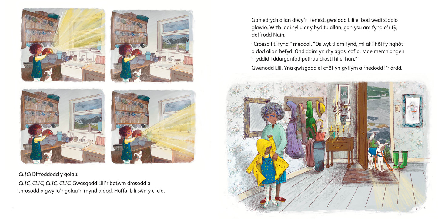 Lili a Nedw: Y Tortsh