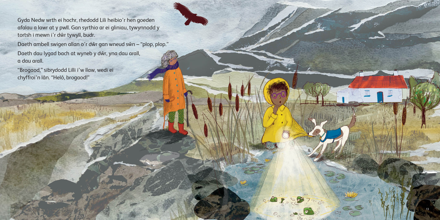 Lili a Nedw: Y Tortsh