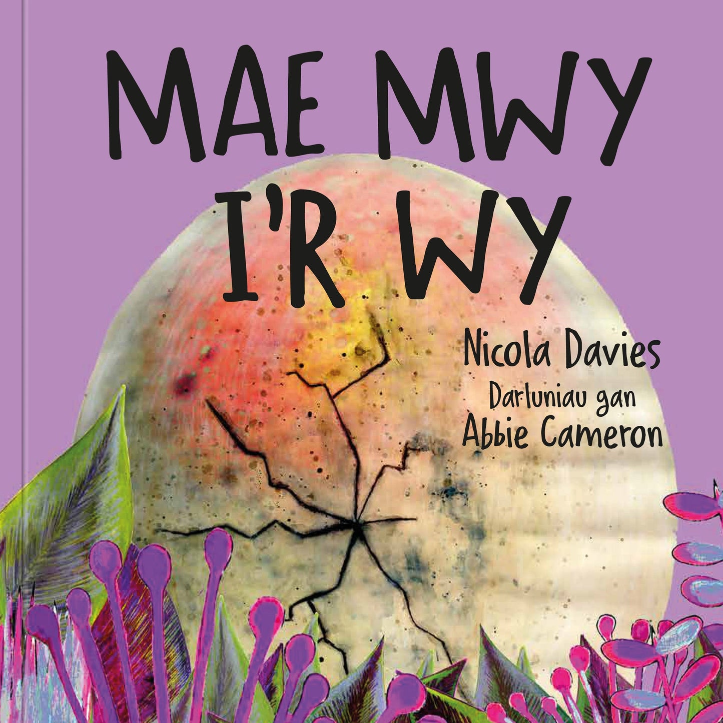 Mae Mwy i’r Wy