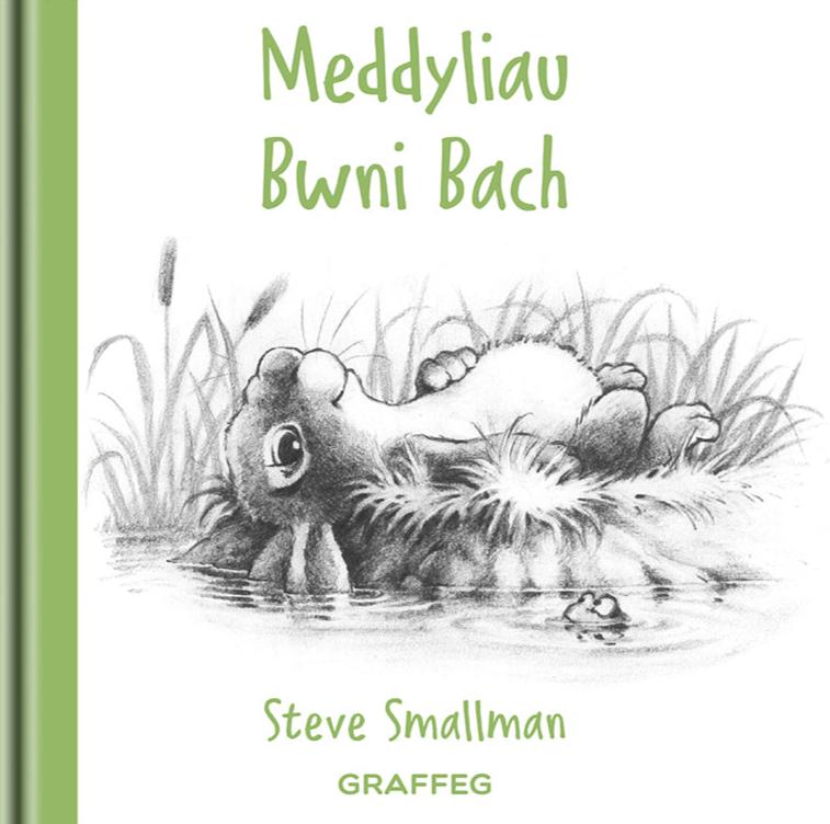 Meddyliau Bwni Bach