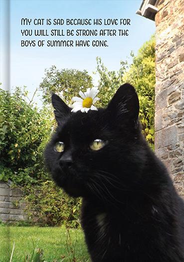 My Sad Cat Notebook