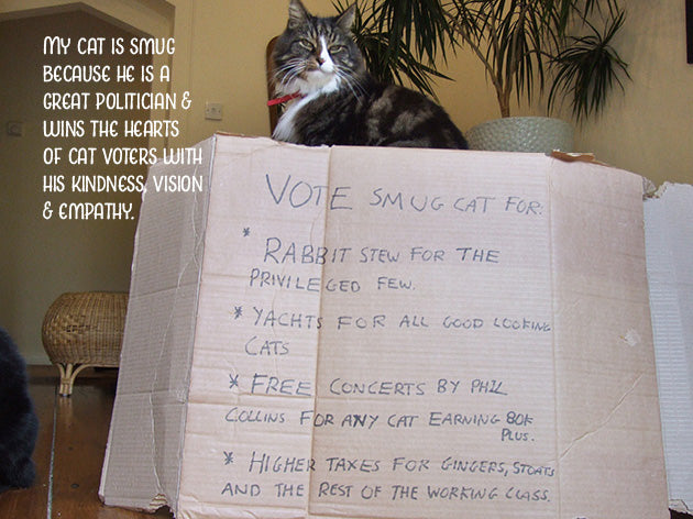My Smug Cat Notecard Pack