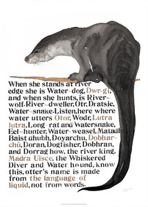 The Names of the Otter Poster