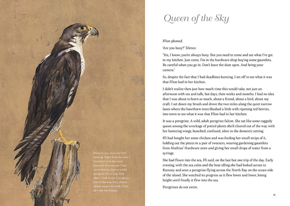 Queen of the Sky – Compact Edition