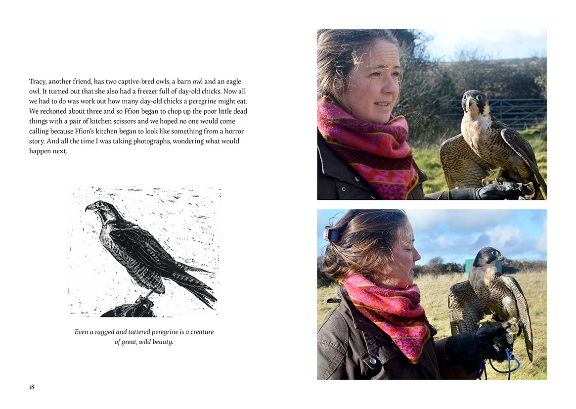 Queen of the Sky – Compact Edition