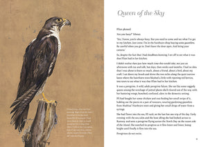 Queen of the Sky – Compact Edition