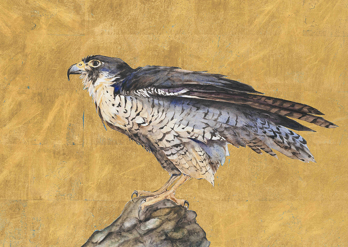 Queen of the Sky – Compact Edition