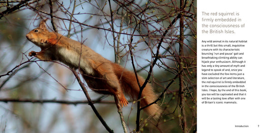 The Red Squirrel Book