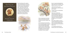 Load image into Gallery viewer, The Red Squirrel Book
