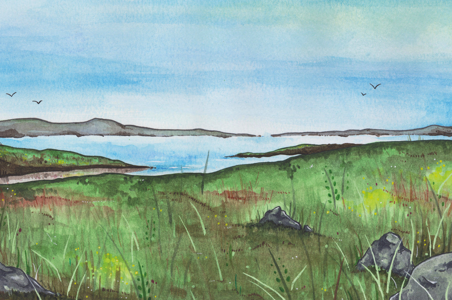 The Selkie's Mate