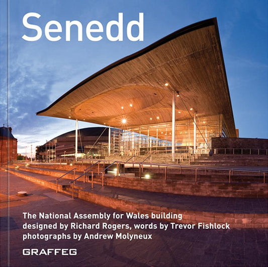Senedd English Paperback