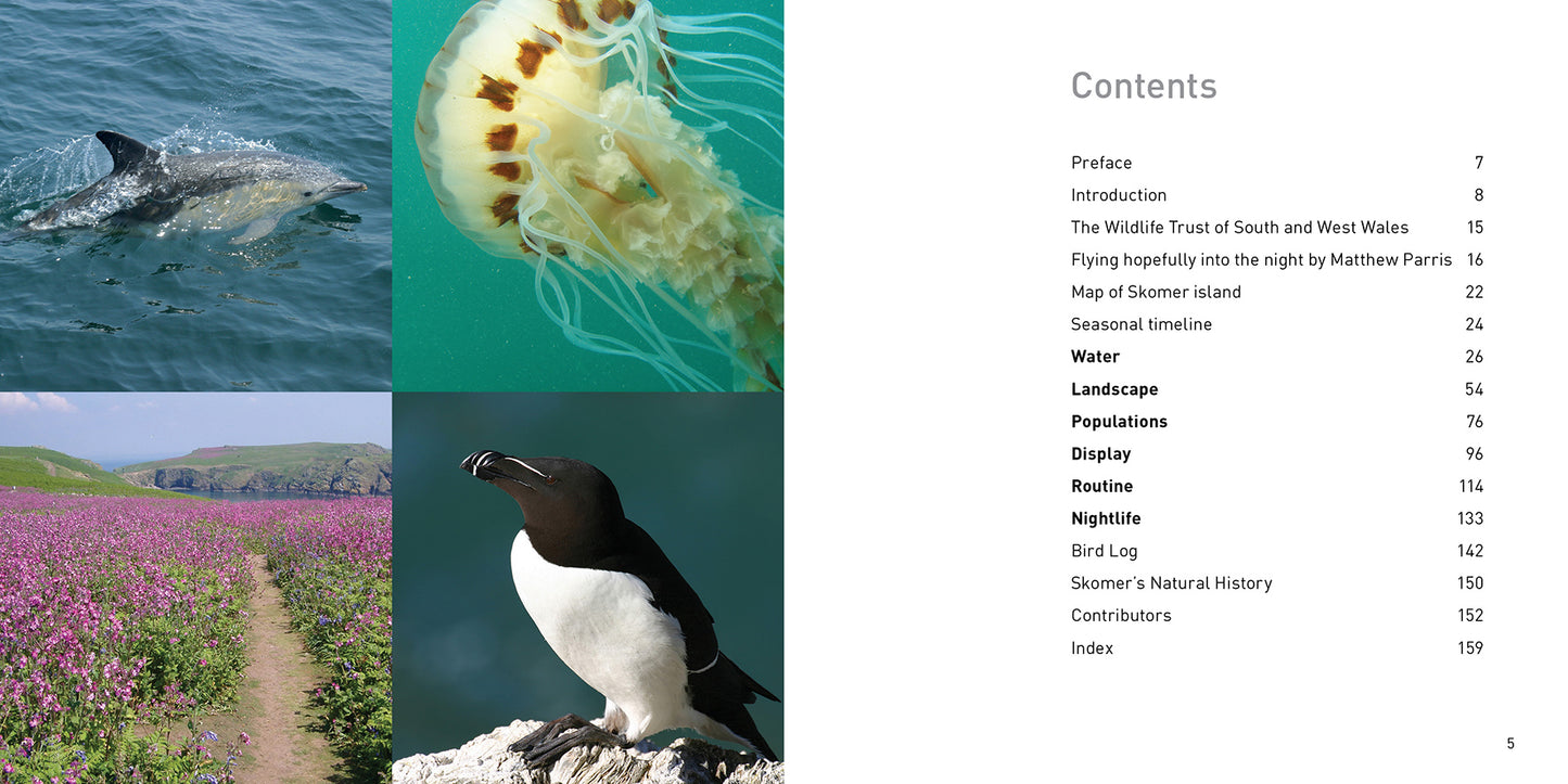 Skomer Compact Edition