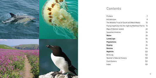 Skomer Compact Edition