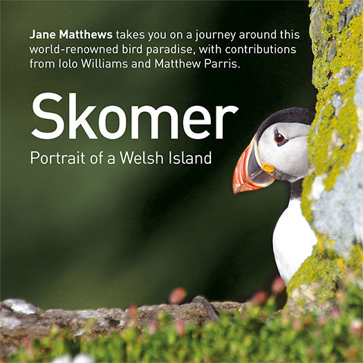 Skomer Compact Edition
