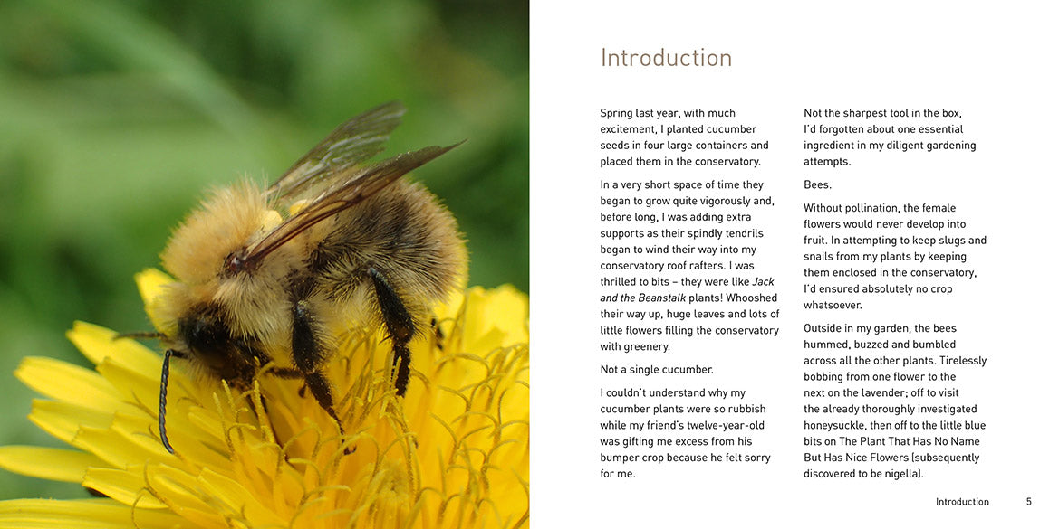 The Bee Book – Graffeg Books