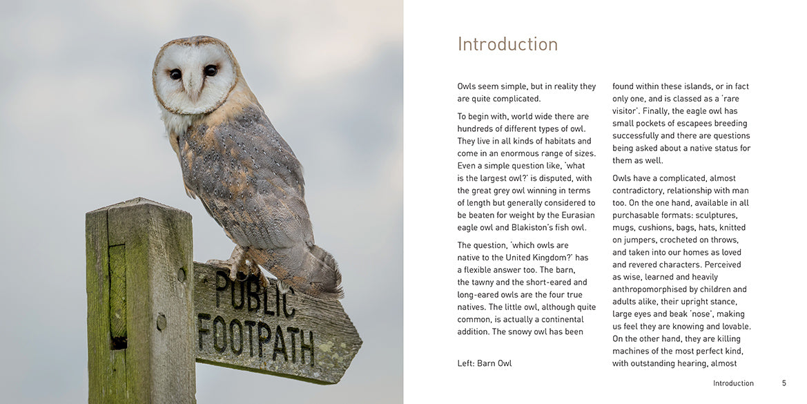 The Owl Book