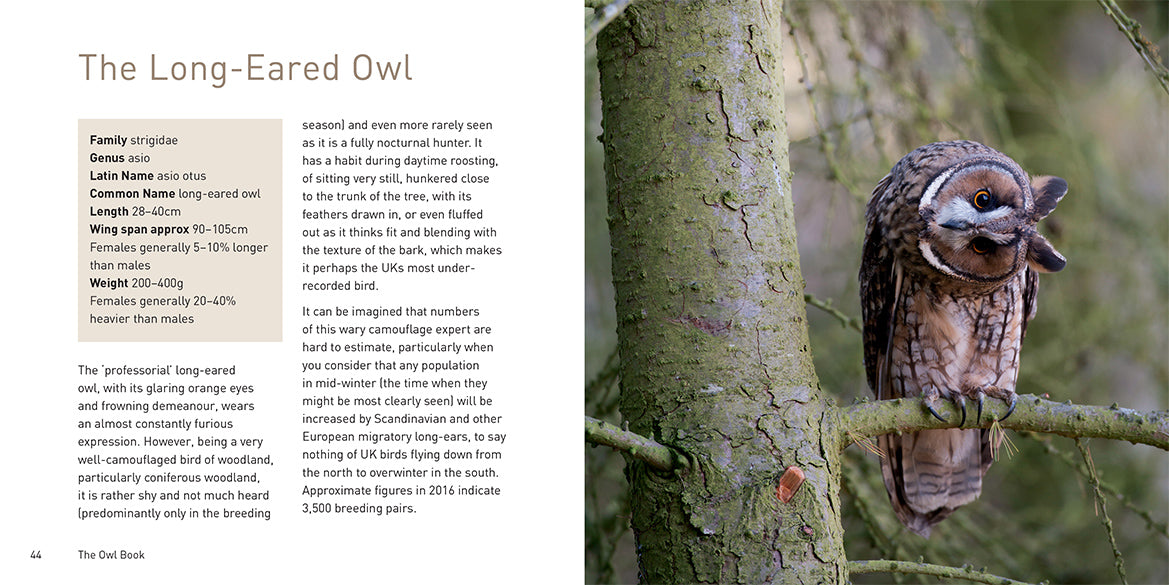 The Owl Book