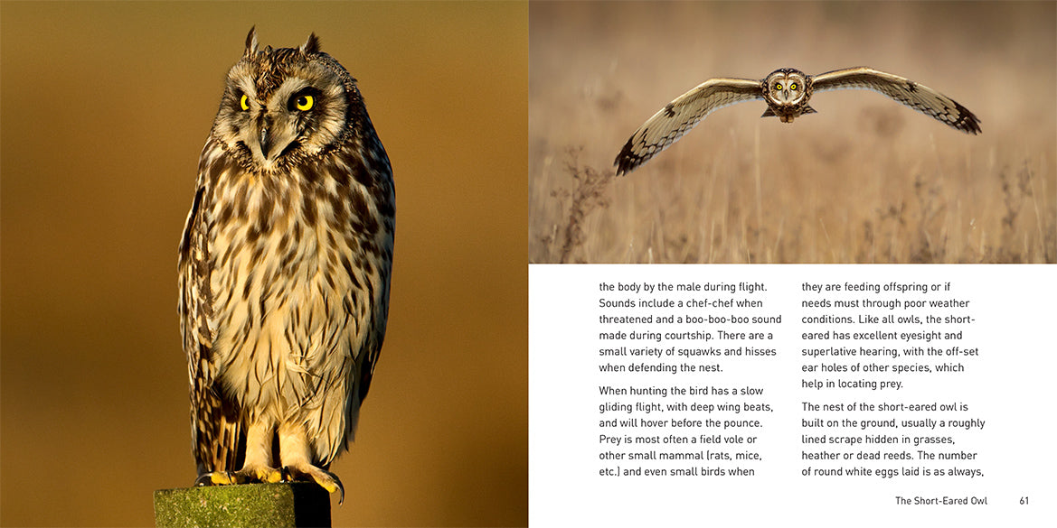 The Owl Book