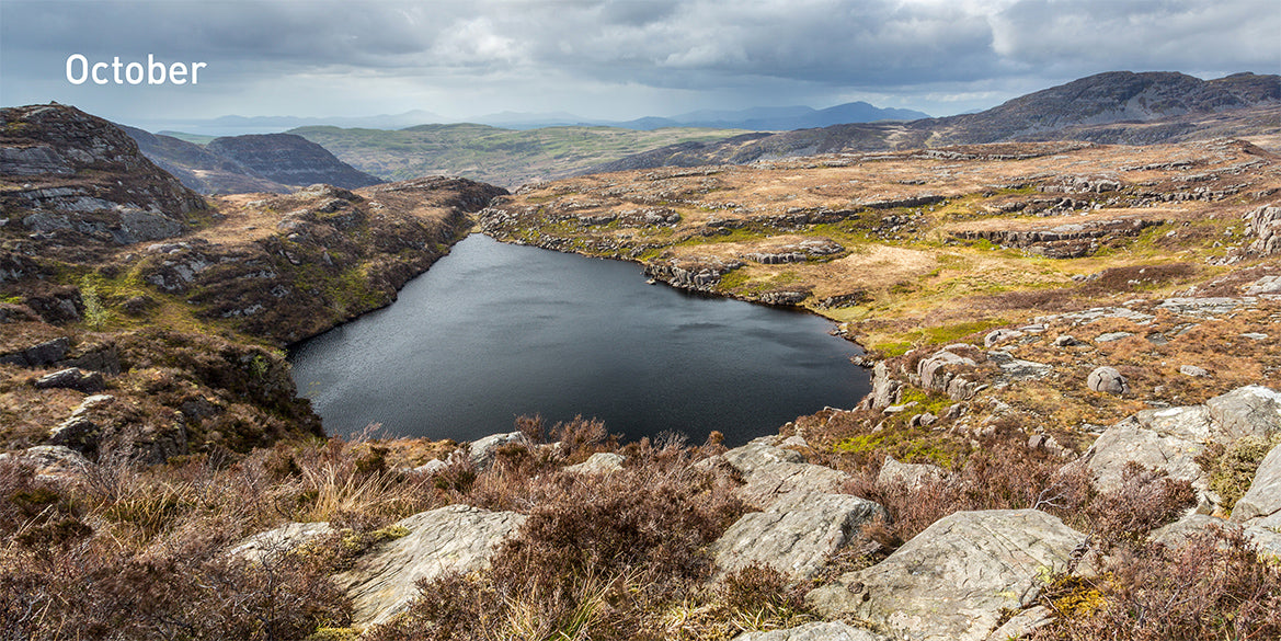 Wilder Wales Compact Edition