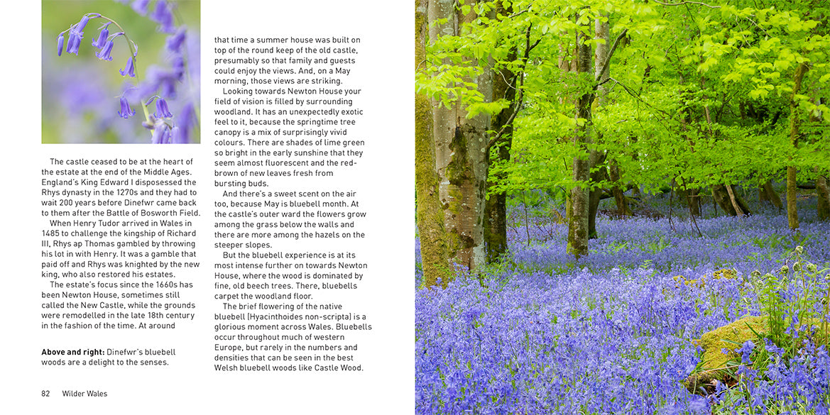 Wilder Wales Compact Edition
