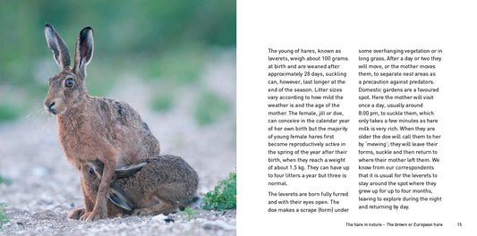 The Hare Book