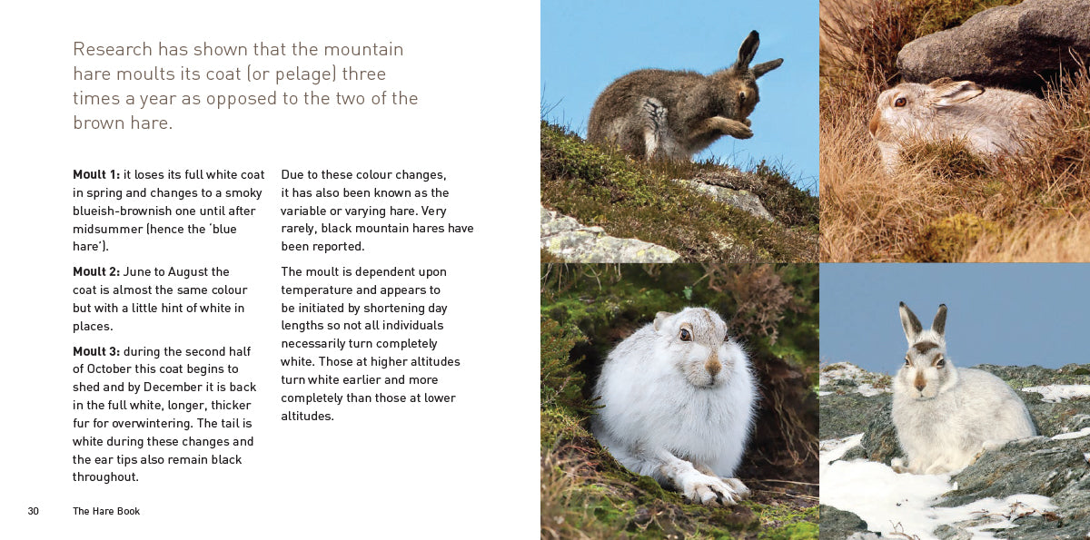 The Hare Book