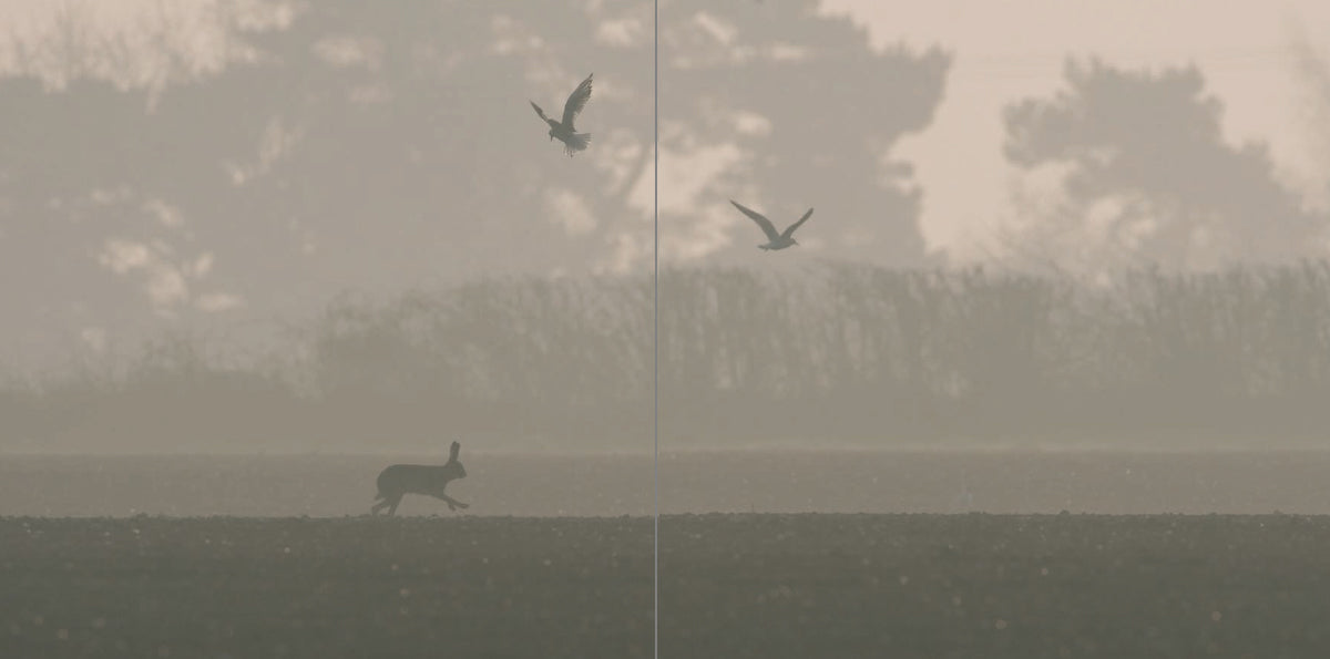 The Hare Book