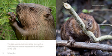 Load image into Gallery viewer, The Beaver Book
