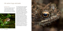 Load image into Gallery viewer, The Frog Book
