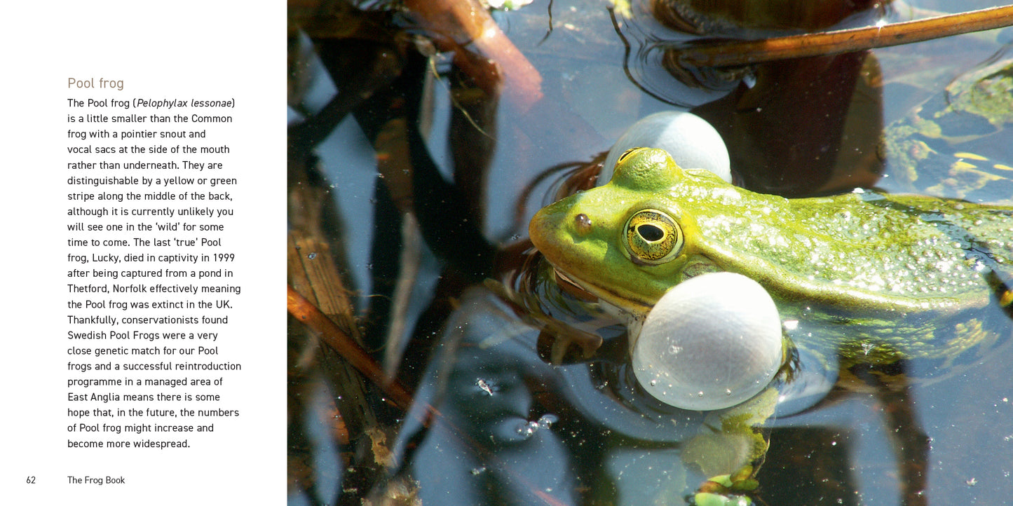 The Frog Book