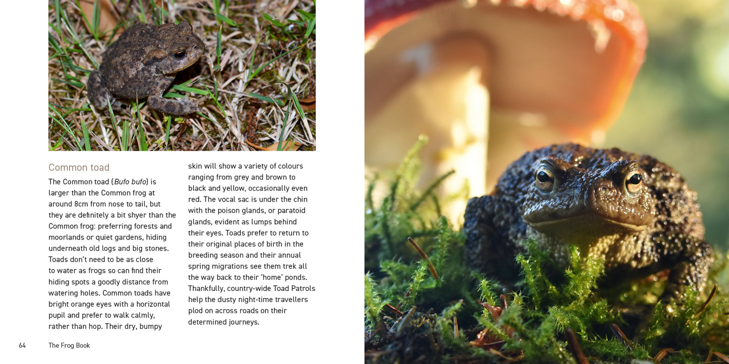 The Frog Book