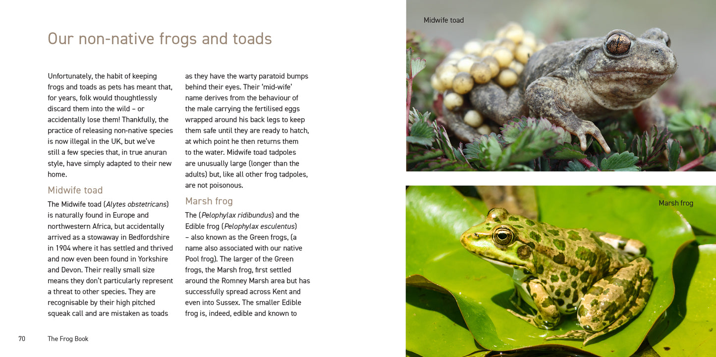 The Frog Book