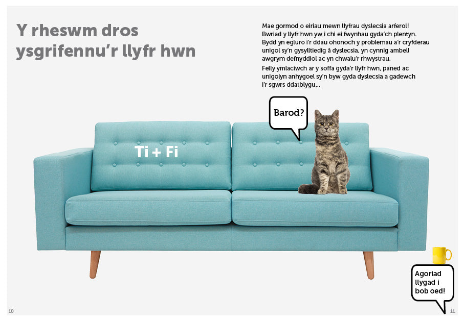 Llyfr Lluniau Dyslecsia a'i Bobl Ryfeddol