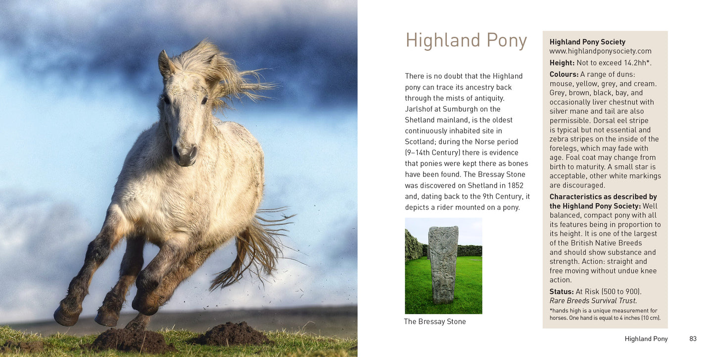The Native Pony Book