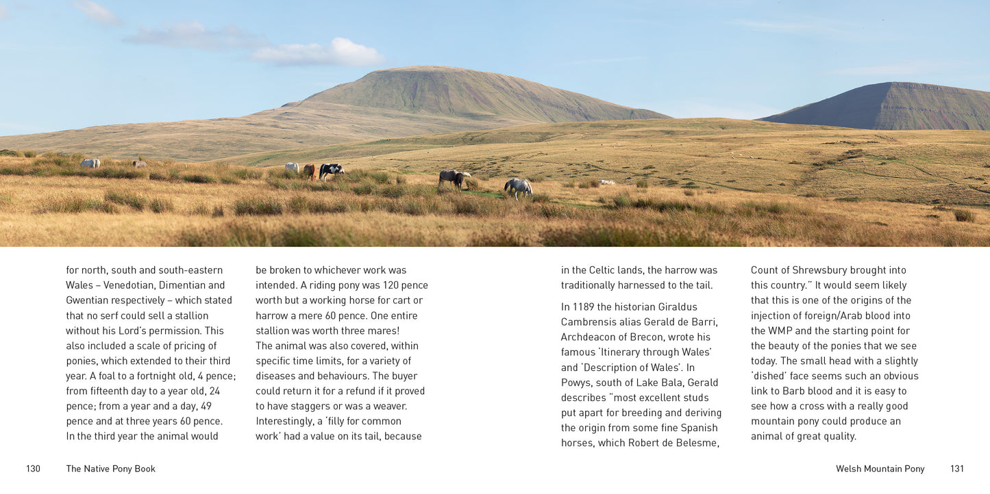 The Native Pony Book