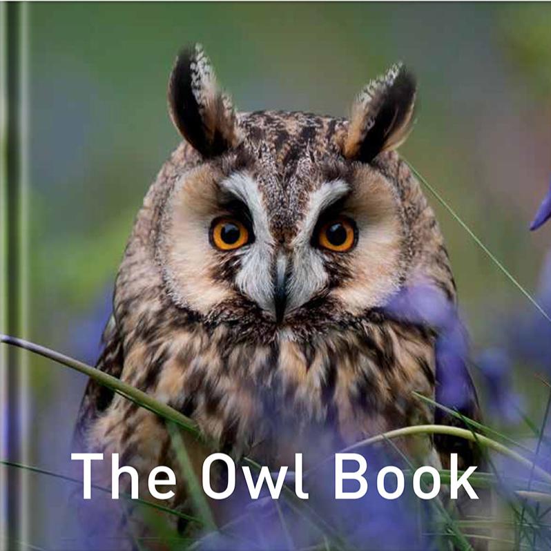 The Owl Book