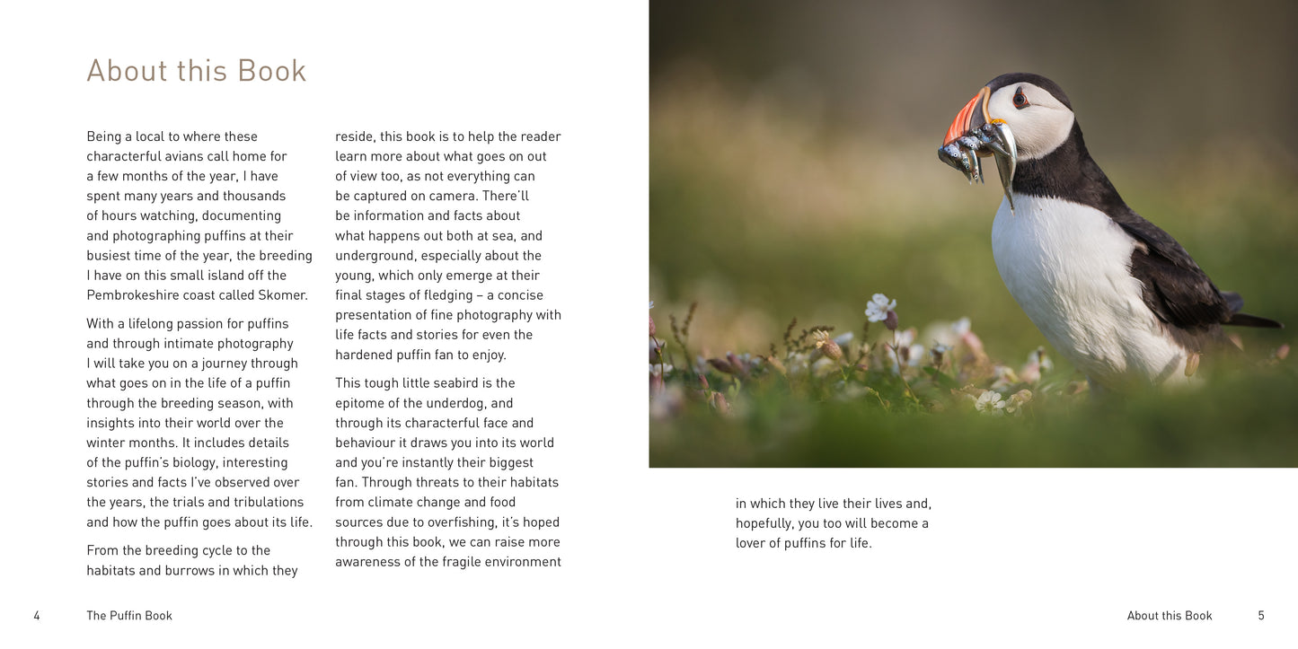 The Puffin Book