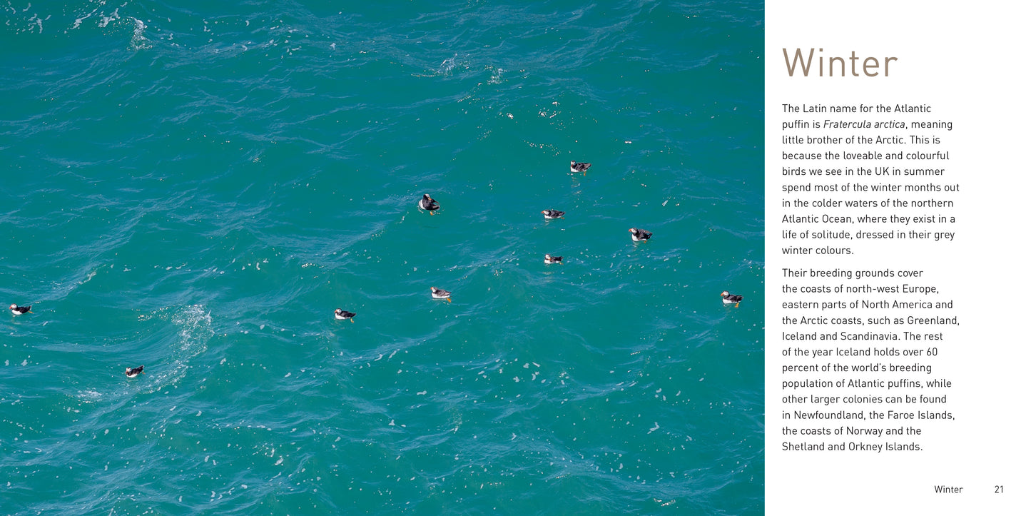 The Puffin Book