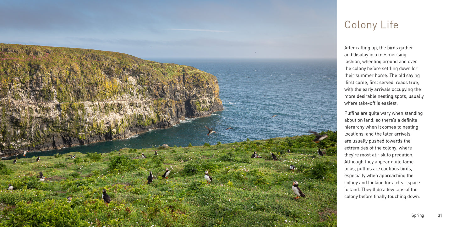The Puffin Book