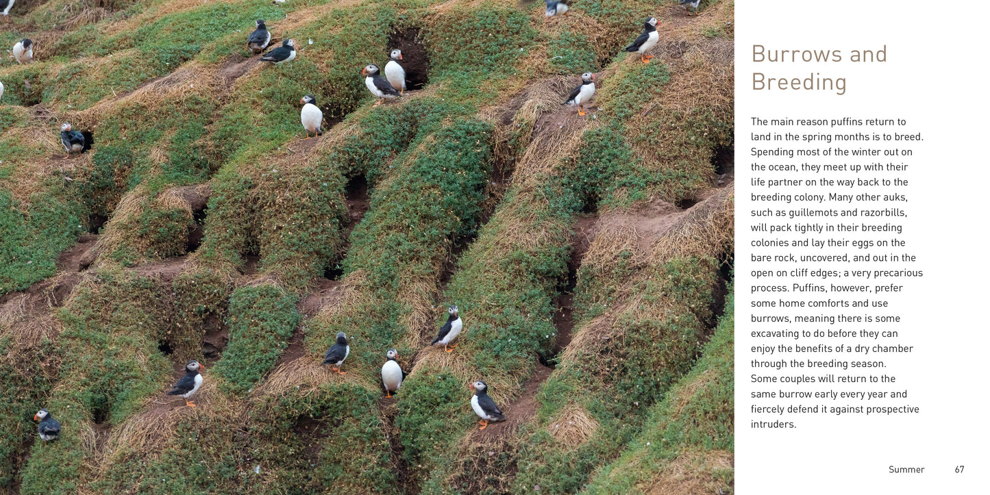 The Puffin Book