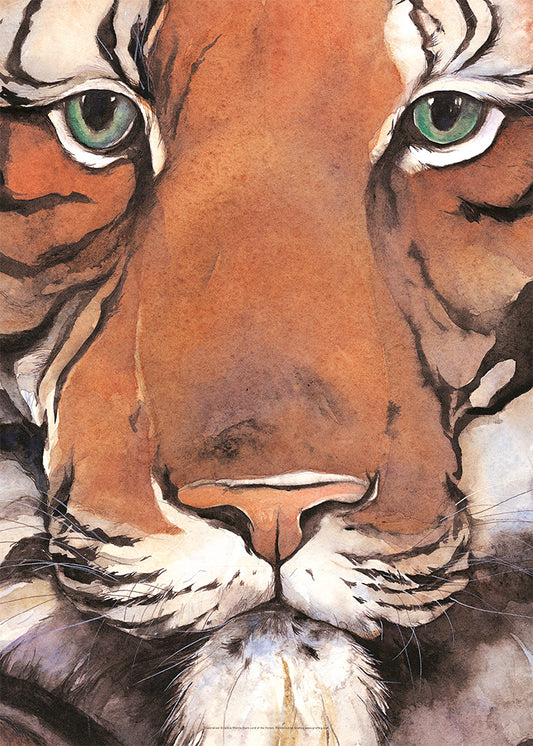 Tiger Poster
