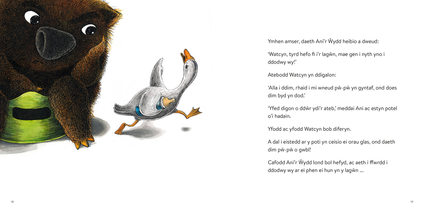 Watcyn y Wombat
